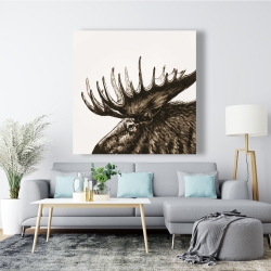 Canvas 48 x 48 - Moose plume sepia
