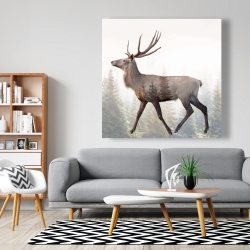 Toile 48 x 48 - Chevreuil à grand panache