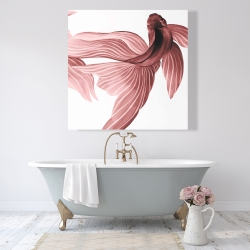 Toile 48 x 48 - Poissons betta rouge