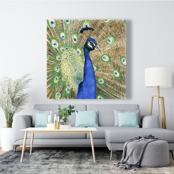 Toile 48 x 48 - Paon