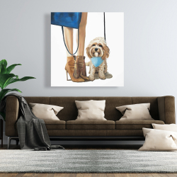 Toile 48 x 48 - Chien cavoodle à la mode