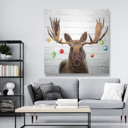 Canvas 48 x 48 - Moose has christmas balls