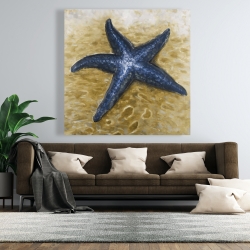 Toile 48 x 48 - Belle étoile de mer