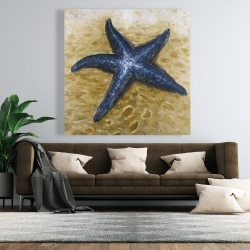 Canvas 48 x 48 - Beautiful starfish