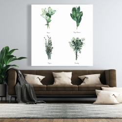 Canvas 48 x 48 - Fine herbs