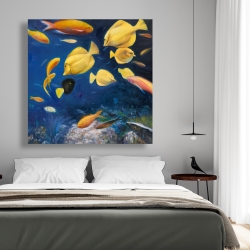 Canvas 48 x 48 - Fish under the sea