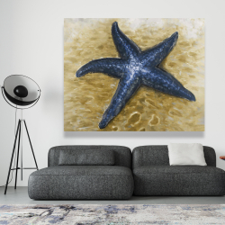 Toile 48 x 60 - Belle étoile de mer