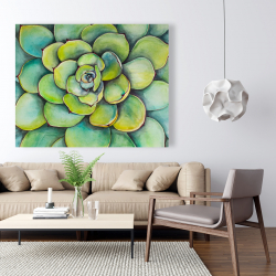 Toile 48 x 60 - Succulent à l'aquarelle
