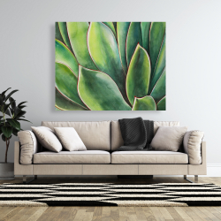 Toile 48 x 60 - Plante d'agave à l'aquarelle