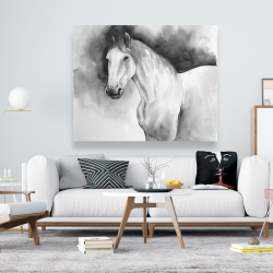Canvas 48 x 60 - Domino horse