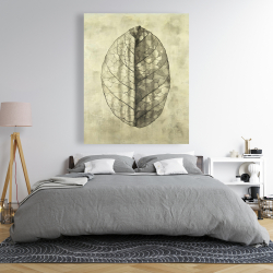 Canvas 48 x 60 - Translucent