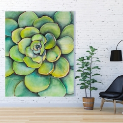 Toile 48 x 60 - Succulent à l'aquarelle