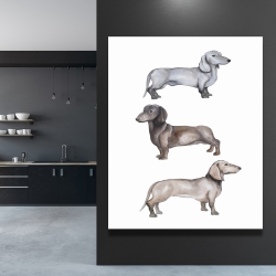 Toile 48 x 60 - Chiens teckel