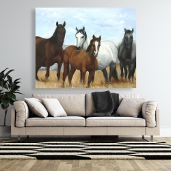 Canvas 48 x 60 - Horses in the meadow by the sun