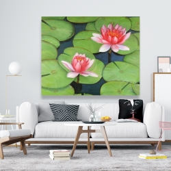 Toile 48 x 60 - Fleurs de lotus dans un marais