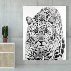 Canvas 48 x 60 - Leopard ready to attack