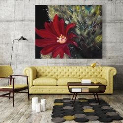 Canvas 48 x 60 - Echinopsis red cactus flower
