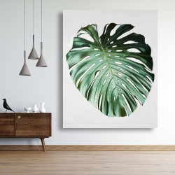 Canvas 48 x 60 - Monstera leaf