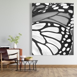 Toile 48 x 60 - Plan rapproché d'ailes de papillon