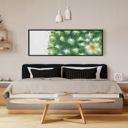 Encadré 16 x 48 - Mini cactus à l'aquarelle