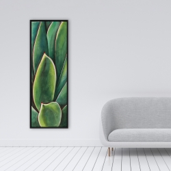 Encadré 16 x 48 - Plante d'agave à l'aquarelle