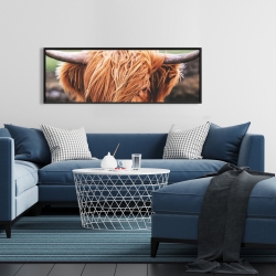 Encadré 16 x 48 - Vache highland portrait