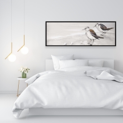 Encadré 16 x 48 - Deux oiseaux bécasseau