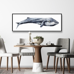 Encadré 16 x 48 - Baleine en aquarelle