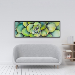 Encadré 16 x 48 - Succulent à l'aquarelle