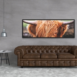 Encadré 20 x 60 - Vache highland portrait