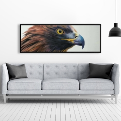 Framed 20 x 60 - Brown-headed eagle