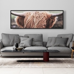 Encadré 20 x 60 - Vache highland désaturée