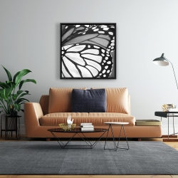 Encadré 24 x 24 - Plan rapproché d'ailes de papillon
