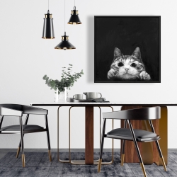 Encadré 24 x 24 - Chat curieux