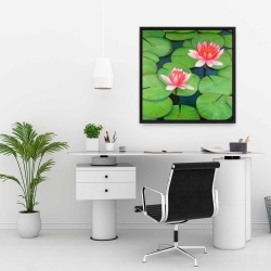 Framed 24 x 24 - Lotus flowers in a swamp