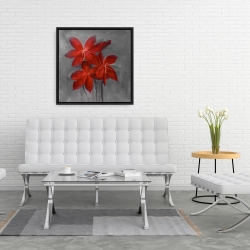 Framed 24 x 24 - Asiatic lily