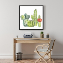 Encadré 24 x 24 - Rassemblement de petits cactus