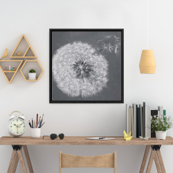 Framed 24 x 24 - Blowing dandelion