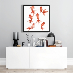 Encadré 24 x 24 - Petits poissons rouge