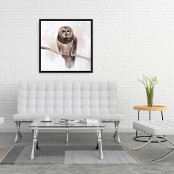Framed 24 x 24 - Barred owl
