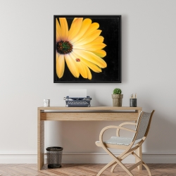 Framed 24 x 24 - Yellow daisy and ladybug