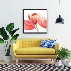 Framed 24 x 24 - Three tulips closeup