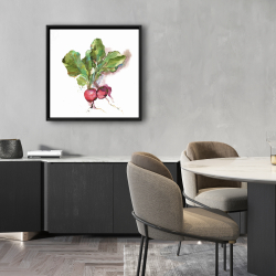 Encadré 24 x 24 - Radis à l'aquarelle