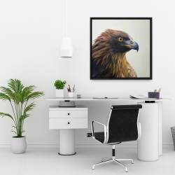 Framed 24 x 24 - Brown-headed eagle
