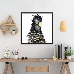 Framed 24 x 24 - Red-tailed cockatoo parrot