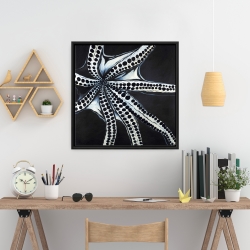 Framed 24 x 24 - Large octopus tentacle