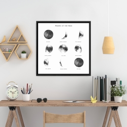 Framed 24 x 24 - Phases of the moon