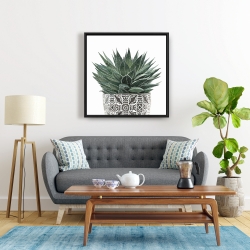 Framed 24 x 24 - Zebra plant succulent