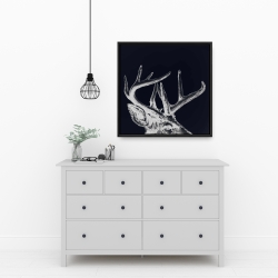 Framed 24 x 24 - Blue roe deer plume
