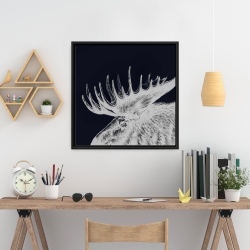 Framed 24 x 24 - Big moose plume